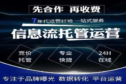SEM竞价优化策略：成功案例解析